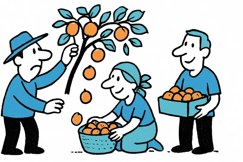 Albaricoques de Porreres: la cosecha comienza alrededor de diez días antes