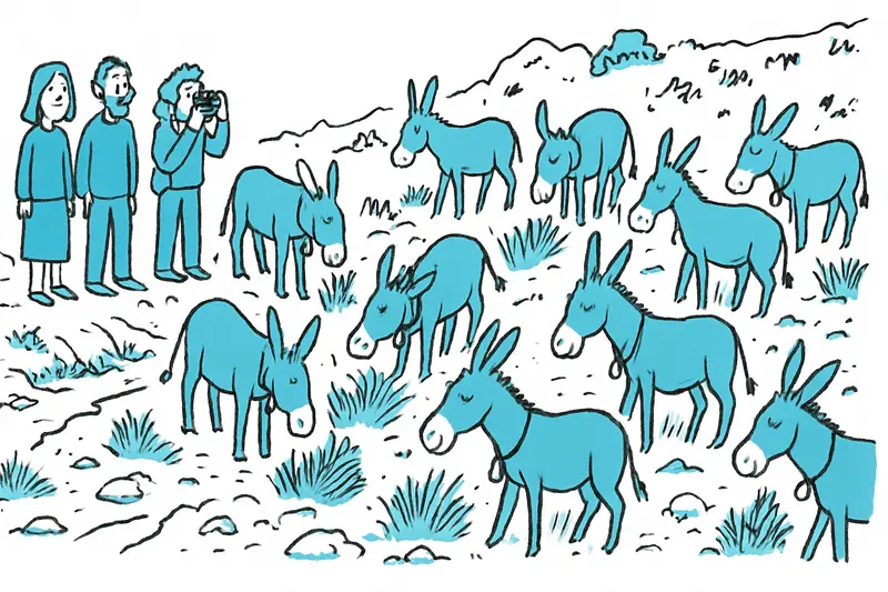 Faena de burros en Sóller: doce animales grises mantienen los cauces cortos