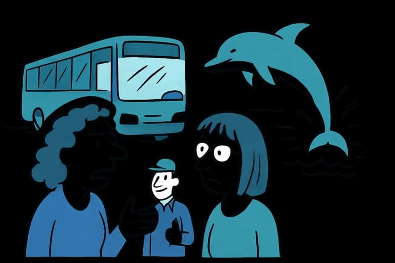 ¿Fin de los espectáculos de delfines en Mallorca? La Fundación Franz Weber exige una prohibición