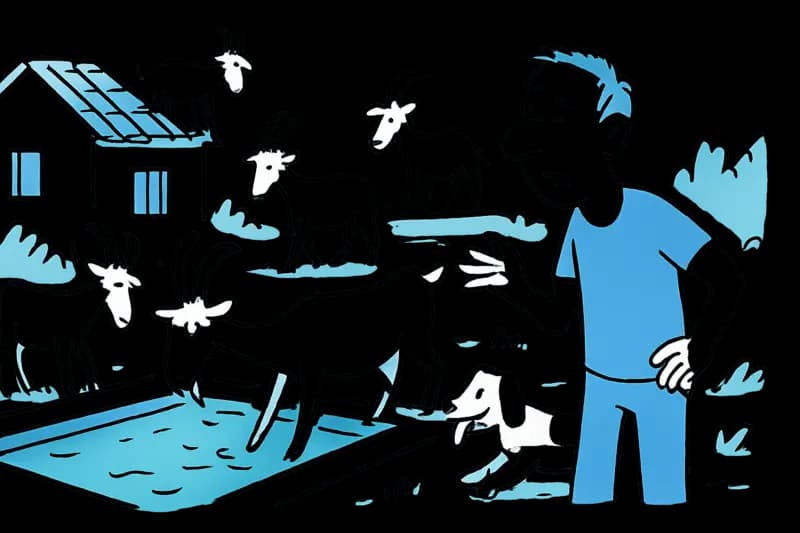 Cuando vienen las cabras: la finca en Es Capdellà no se protege lo suficiente